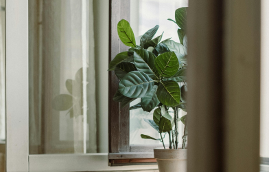 Réduire sa consommation de chauffage électrique cet hiver