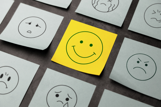 Main branchant un câble sur une borne de recharge Switch